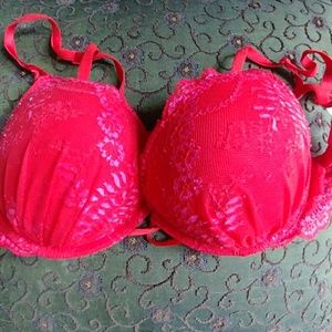 Plunge 34c bra